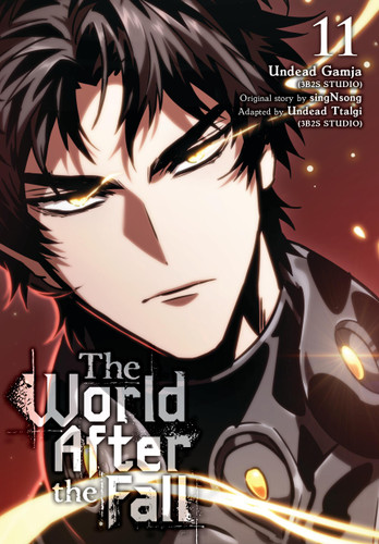 The World After the Fall, Vol. 11 (The World After the Fall) book cover by 