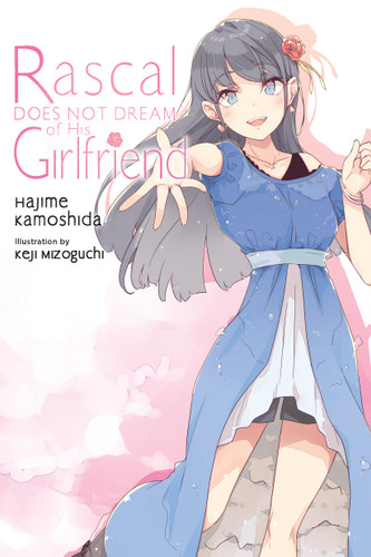 Rascal Does Not Dream of His Girlfriend (light novel) (Rascal Does Not Dream (light novel) #14) book cover by Hajime Kamoshida