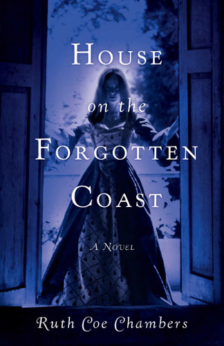 House on the Forgotten Coast: A Novel book cover by Ruth Coe Chambers