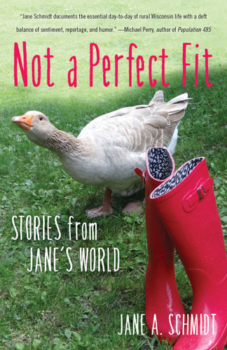 Not a Perfect Fit: Stories from Jane's World book cover by Jane A. Schmidt