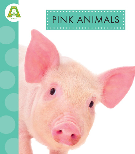 Pink Animals book cover by Golriz Golkar