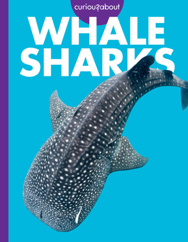 Curious about Whale Sharks book cover by Monika Davies
