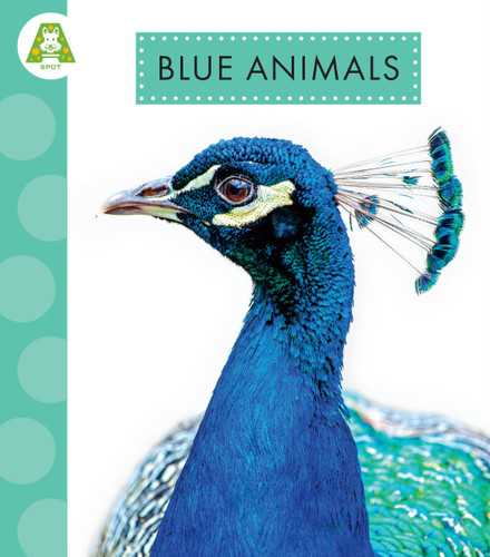 Blue Animals book cover by Golriz Golkar