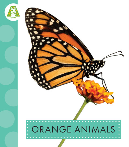 Orange Animals book cover by Golriz Golkar