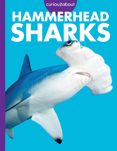 Curious about Hammerhead Sharks book cover by Monika Davies