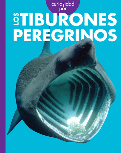 Curiosidad por los tiburones peregrinos book cover by Monika Davies