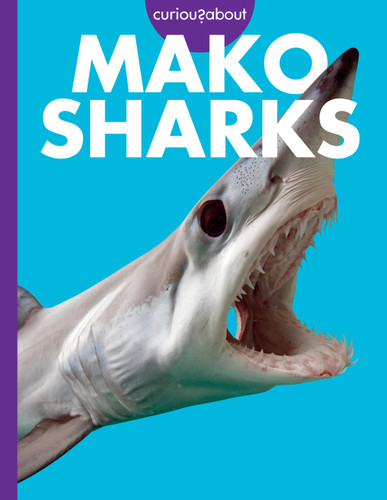 Curious about Mako Sharks book cover by Debra Randorf