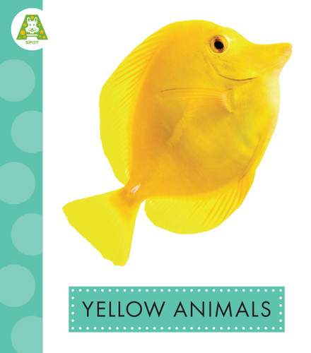 Yellow Animals book cover by Golriz Golkar