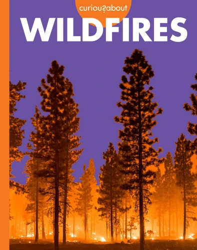 Curious about Wildfires (Curious about Extreme Weather) book cover by Deborah Scigliano