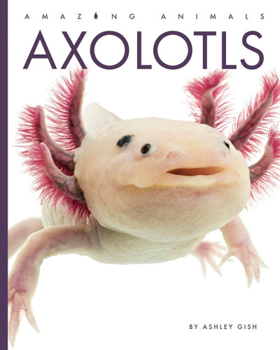 Axolotls (Amazing Animals) book cover by Ashley Gish