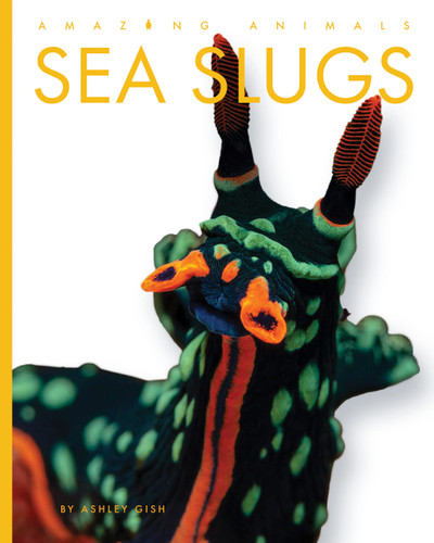 Sea Slugs (Amazing Animals) book cover by Ashley Gish