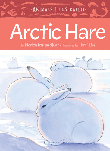 Animals Illustrated: Arctic Hare (Animals Illustrated #13) book cover by Monica Ittusardjuat