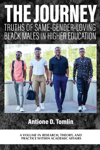 The Journey: Truths of Same-Gender-Loving Black Males in Higher Education (Research, Theory, and Practice Within Academic Affairs) book cover by 