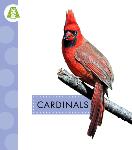 Cardinals (Spot Backyard Birds) book cover by Anastasia Suen