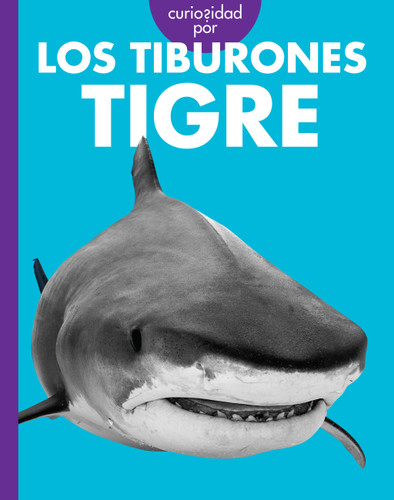 Curiosidad por los tiburones tigre book cover by Debra Randorf