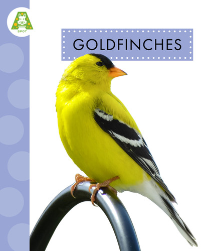 Goldfinches (Spot Backyard Birds) book cover by Anastasia Suen