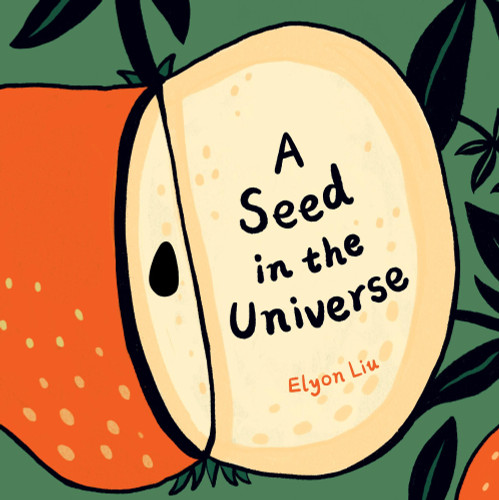 A Seed In the Universe book cover by Elyon Liu