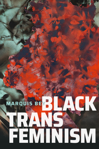 Black Trans Feminism (Black Outdoors: Innovations in the Poetics of Study) book cover by Marquis Bey