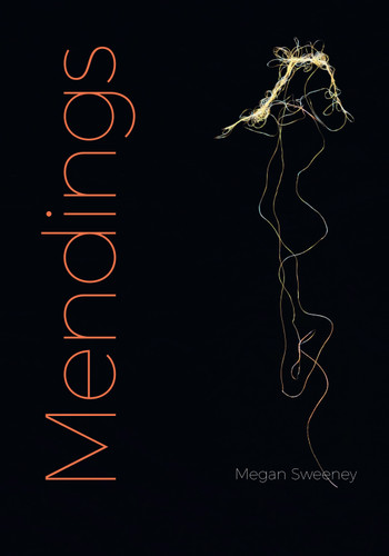 Mendings book cover by Megan Sweeney