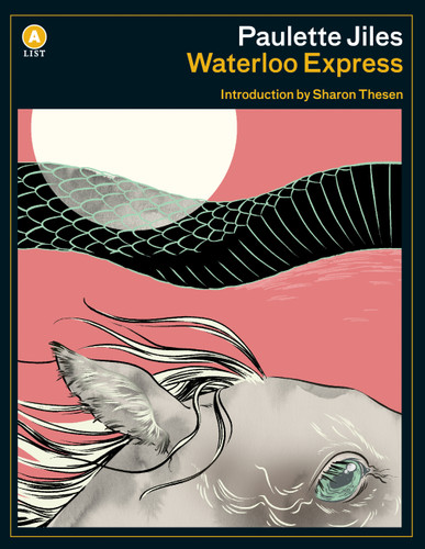 Waterloo Express book cover by Paulette Jiles