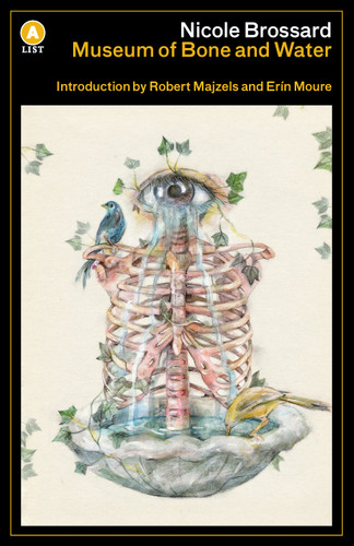 Museum of Bone and Water book cover by Nicole Brossard