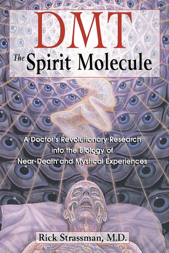 DMT: The Spirit Molecule: A Doctor's Revolutionary Research into the Biology of Near-Death and Mystical Experiences book cover by Rick Strassman