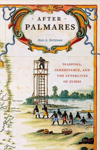 After Palmares: Diaspora, Inheritance, and the Afterlives of Zumbi (Radical Perspectives) book cover by Marc A Hertzman
