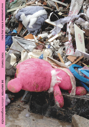 Toxic Temple: An Artistic and Philosophical Adventure into the Toxicity of the Now book cover by 