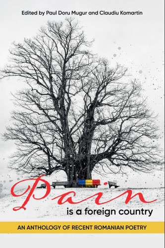 Pain is a Foreign Country: An Anthology of Recent Romanian Poetry book cover by Paul Doru Mugur