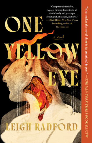 One Yellow Eye: A Novel book cover by Leigh Radford