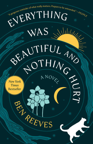Everything Was Beautiful and Nothing Hurt: A Novel book cover by Ben Reeves