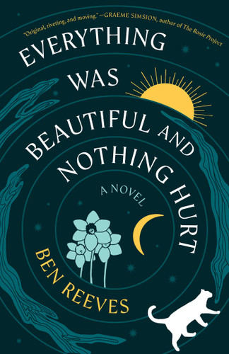 Everything Was Beautiful and Nothing Hurt: A Novel book cover by Ben Reeves