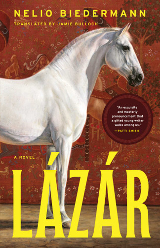 Lázár: A Novel book cover by Nelio Biedermann