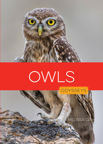 Owls (Odysseys in the Wild) book cover by Melissa Gish