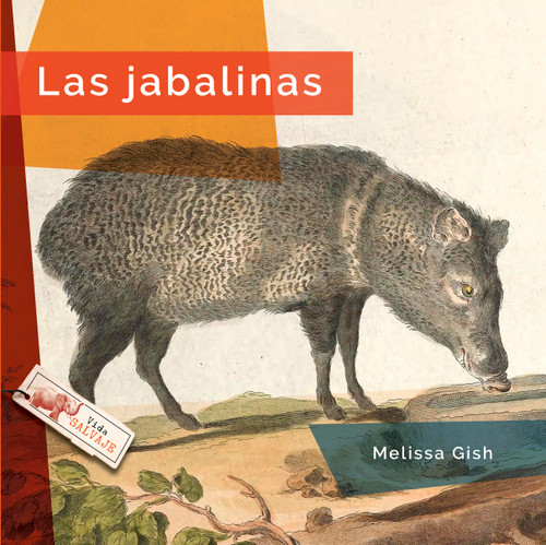 Las jabalinas book cover by Melissa Gish