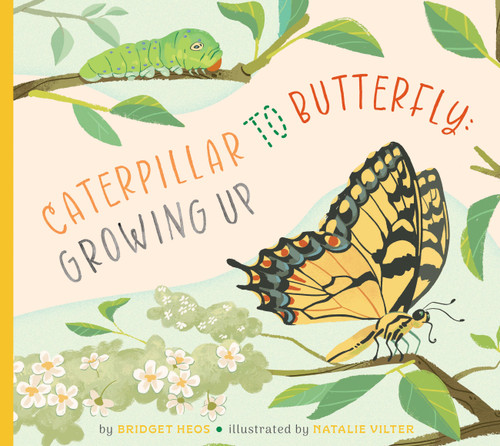 Caterpillar to Butterfly: Growing Up book cover by Bridget Heos