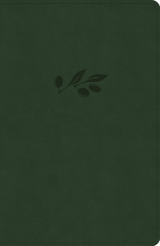 NASB Verse-by-Verse Reference Bible, Olive LeatherTouch book cover by Holman Bible Publishers