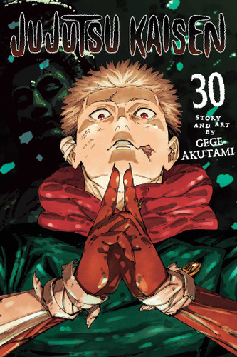 Jujutsu Kaisen, Vol. 30 (Jujutsu Kaisen) book cover by Gege Akutami