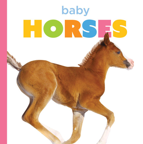 Baby Horses (Starting Out) book cover by Graham Morgan