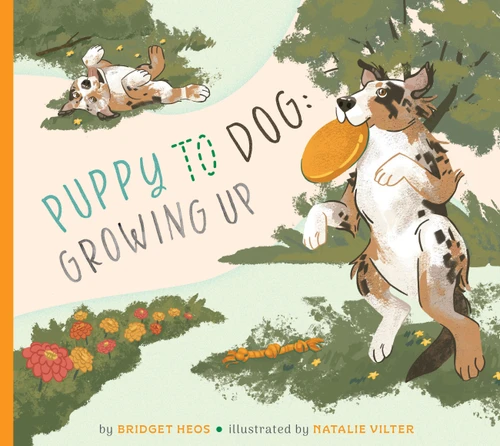 Puppy to Dog: Growing Up book cover by Bridget Heos
