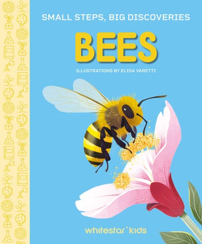 Small Steps, Big Discoveries: Bees (Small steps, Big Discoveries) book cover by Cristina Banfi