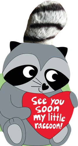 See You Soon, My Little Raccoon! (Tactile Board Book) book cover by Sandra Magsamen