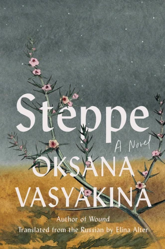 Steppe: A Novel book cover by Oksana Vasyakina