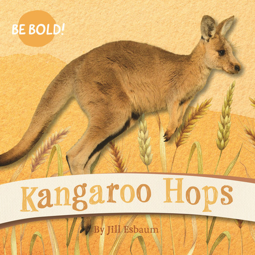 Kangaroo Hops book cover by Jill Esbaum