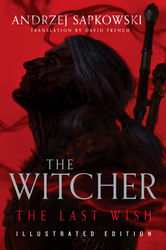 The Last Wish: Illustrated Edition (The Witcher) book cover by Andrzej Sapkowski