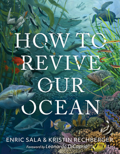 How to Revive Our Ocean book cover by Enric Sala, Kristin Rechberger