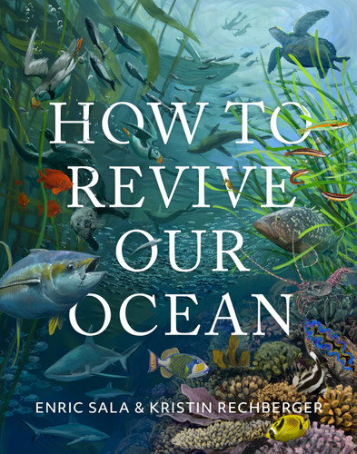 How to Revive Our Ocean book cover by Enric Sala, Kristin Rechberger