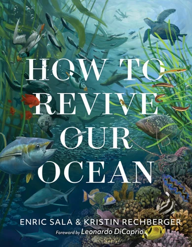 How to Revive Our Ocean book cover by Enric Sala, Kristin Rechberger