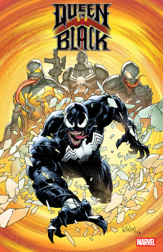 Queen In Black: The Light and the Dark book cover by 