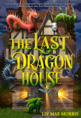 The Last Dragon House: A Novel (The Last Dragon House) book cover by Liv Mae Morris